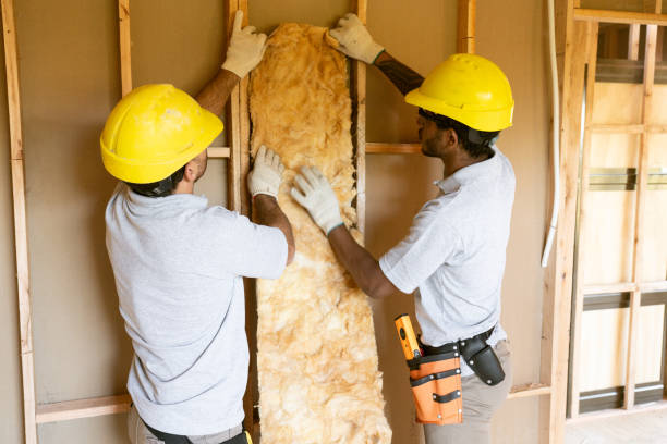 Best Radiant Barrier Insulation  in Pine Prairie, LA