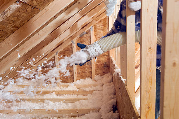 Best Attic Insulation Installation  in Pine Prairie, LA